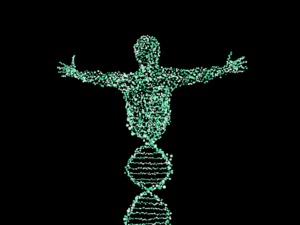 Archetypes DNA